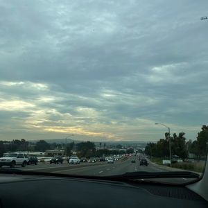 Meet your Posher, Bella